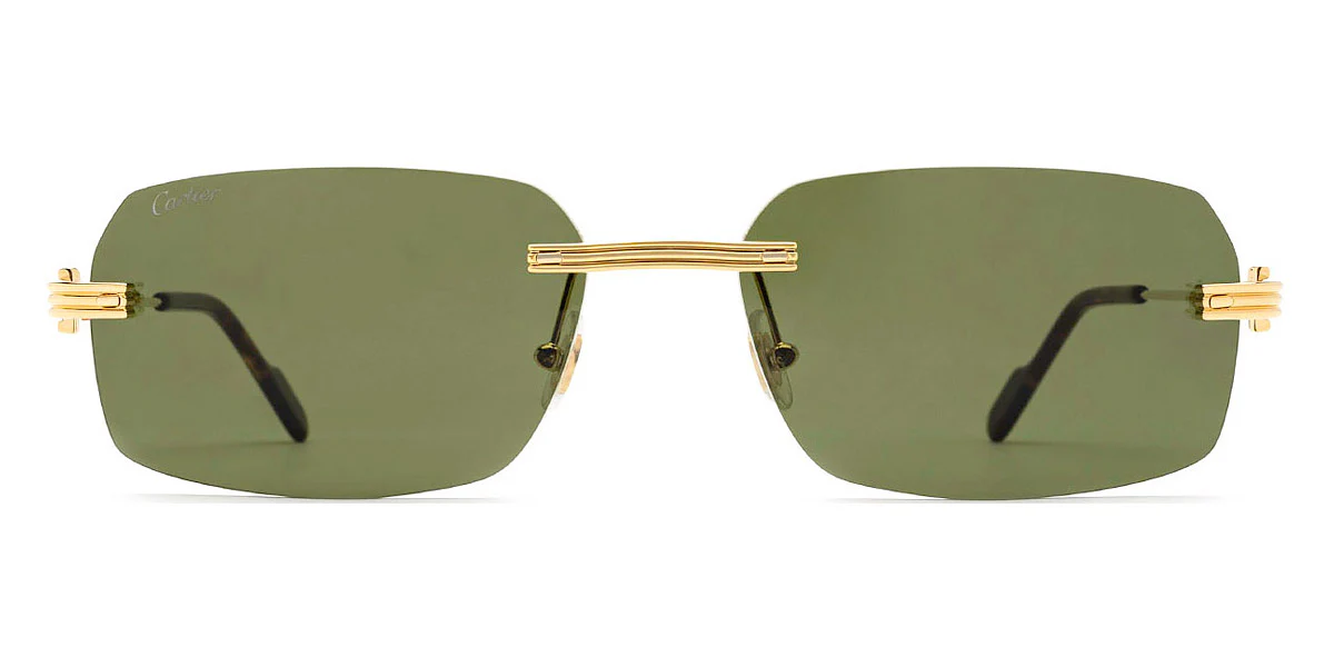 Cartier - CT0271S - Image 11
