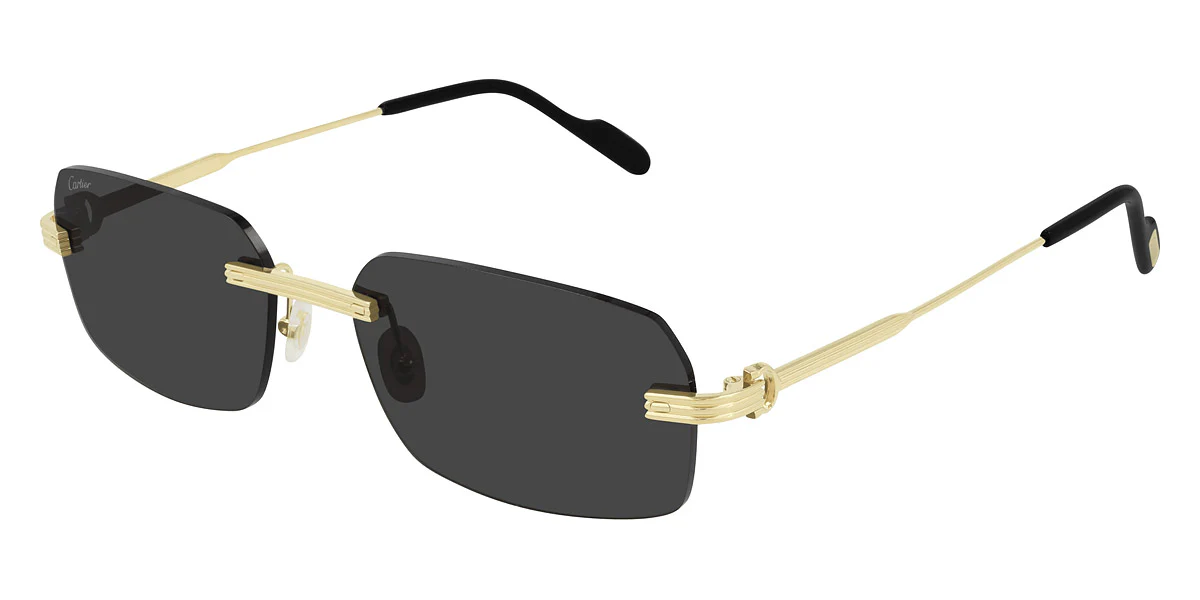 Cartier - CT0271S - Image 14