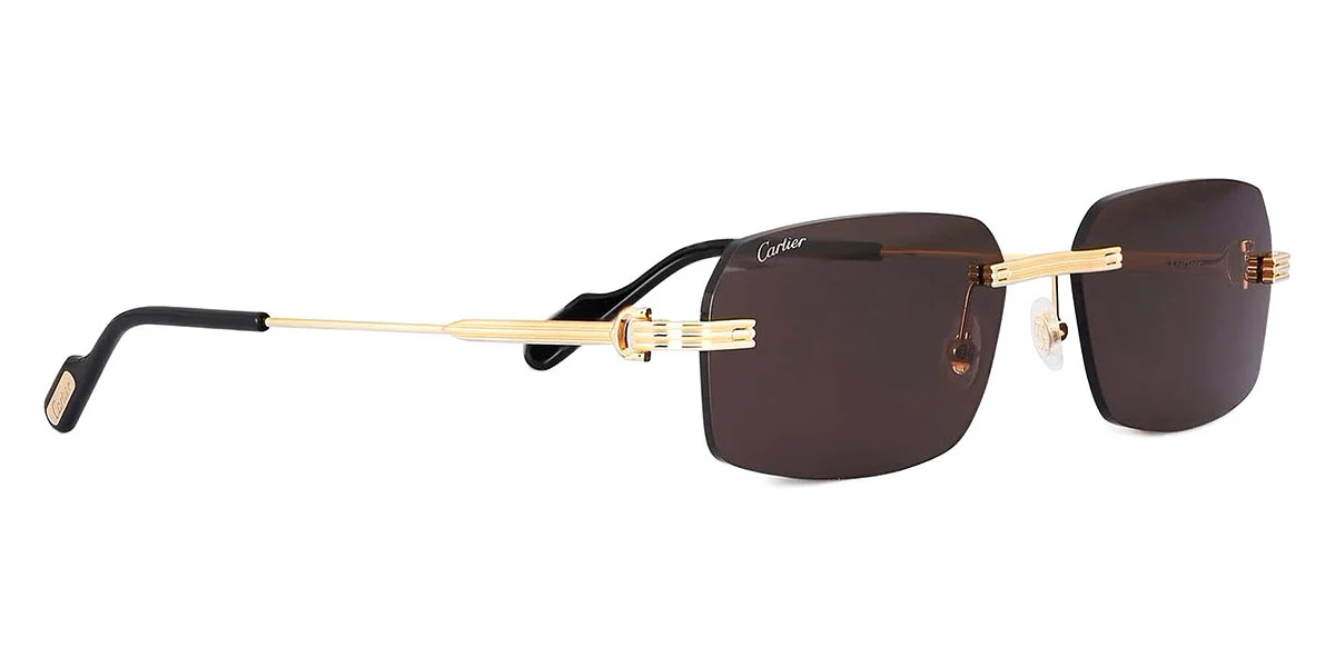 Cartier - CT0271S - Image 16