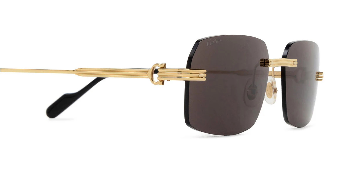 Cartier - CT0271S - Image 17