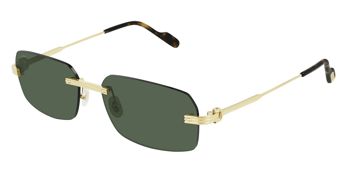 Cartier - CT0271S - Image 18