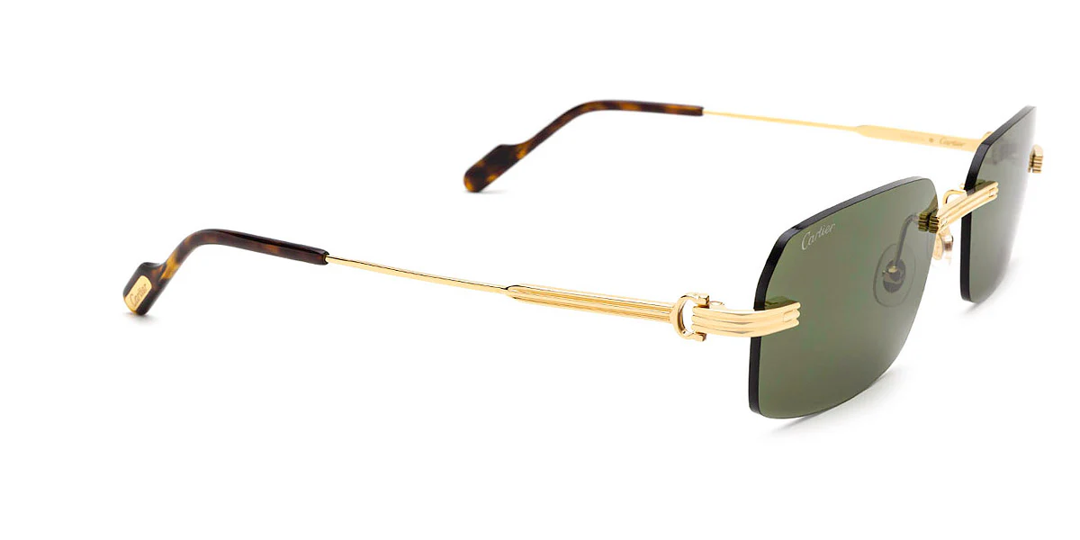Cartier - CT0271S - Image 19