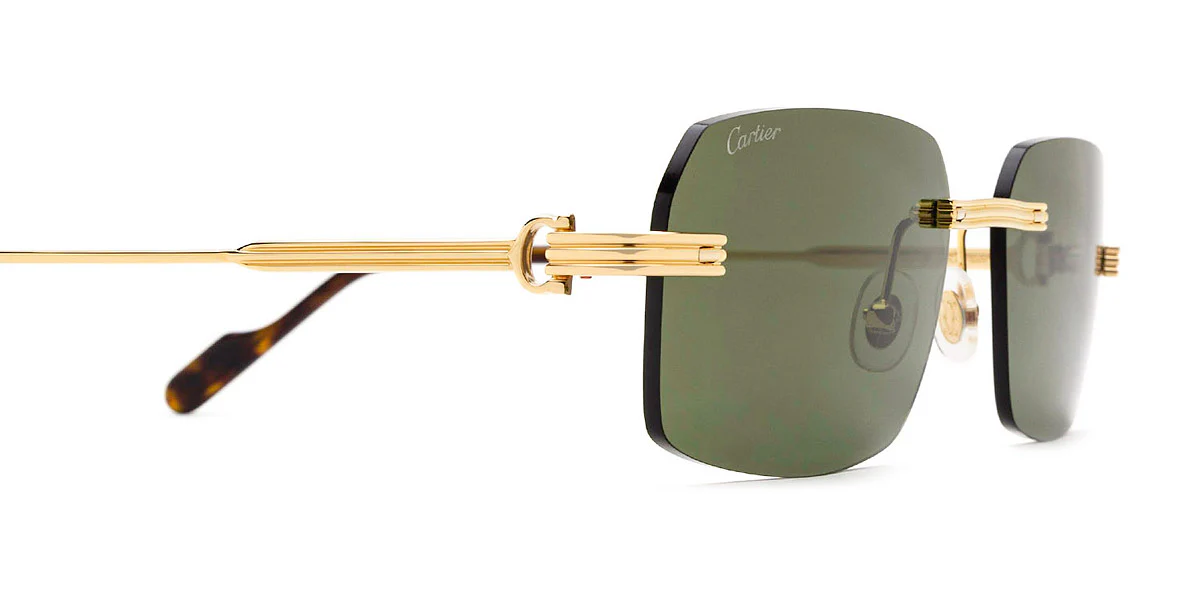 Cartier - CT0271S - Image 20