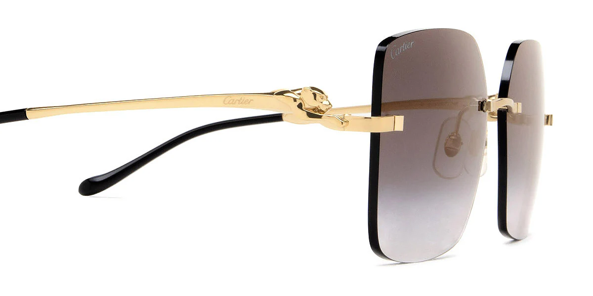 Cartier - CT0359S Panthère de Cartier - Image 10
