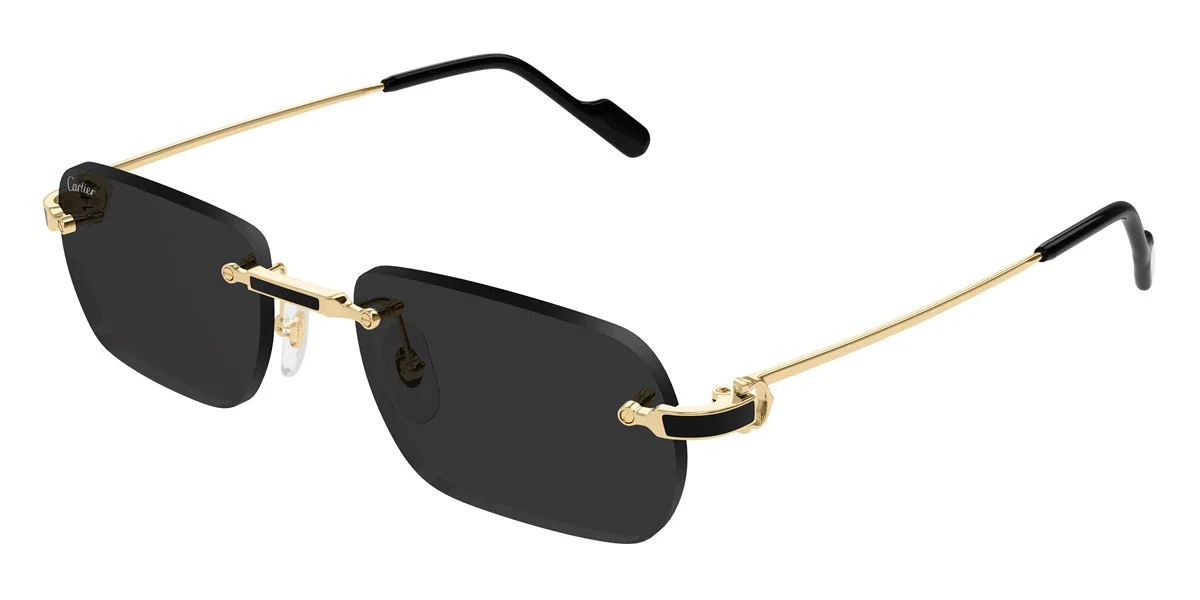 Cartier - CT0498S Santos de Cartier - Image 2