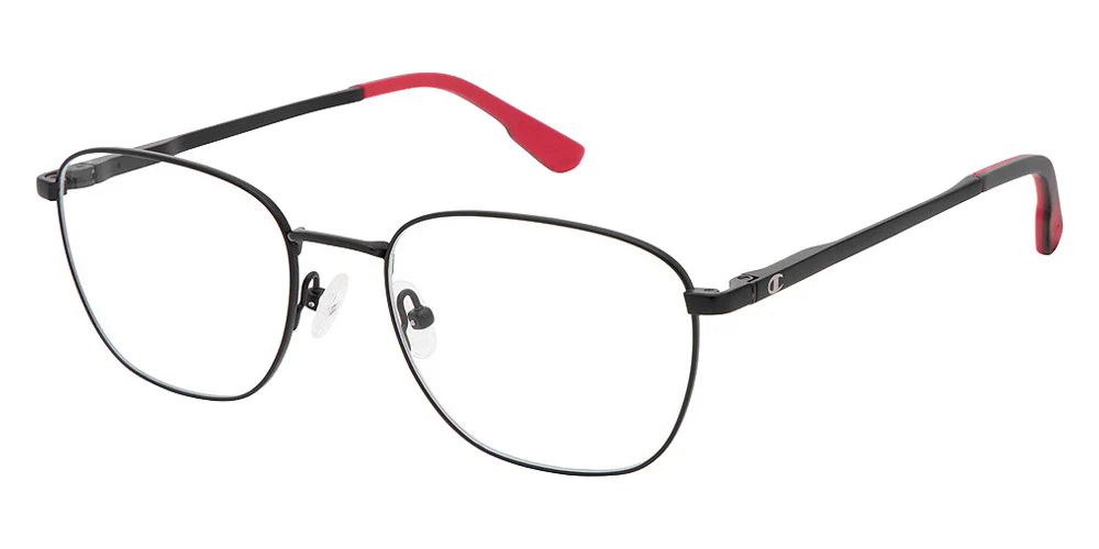 Champion - FL1013 - Image 2