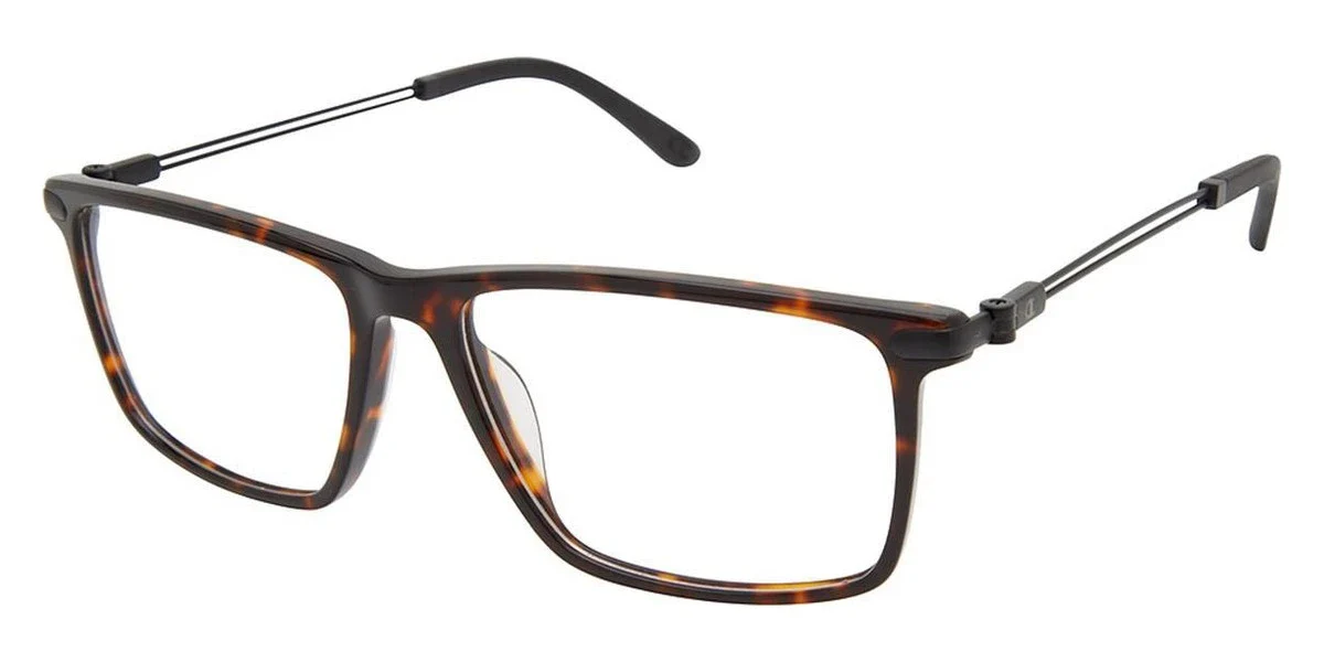 Champion - FLYX - Image 3