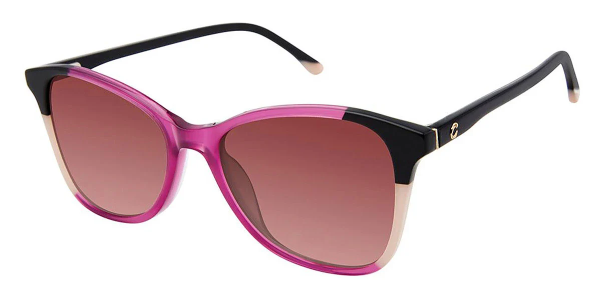 Champion - WISH - Image 5