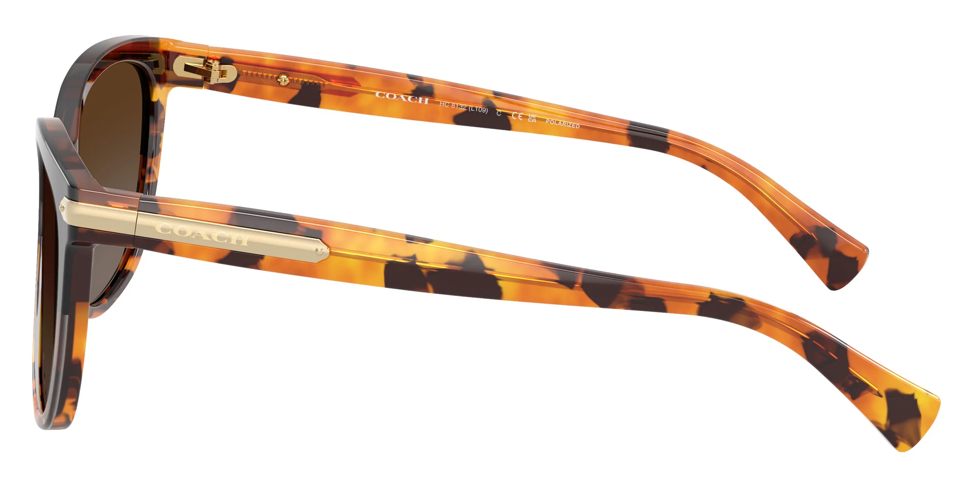 Coach - HC8132 L109 - Image 18