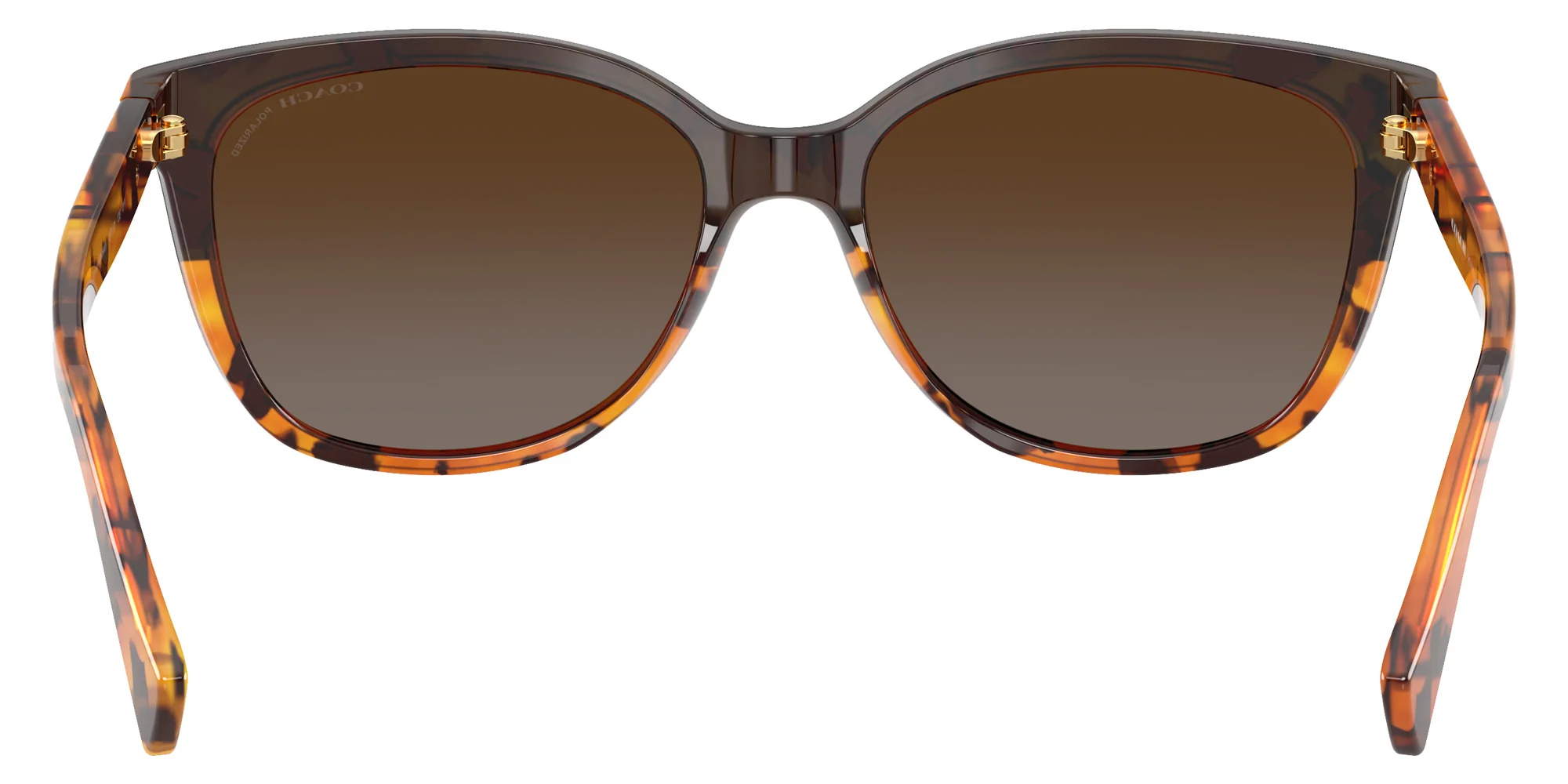 Coach - HC8132 L109 - Image 19