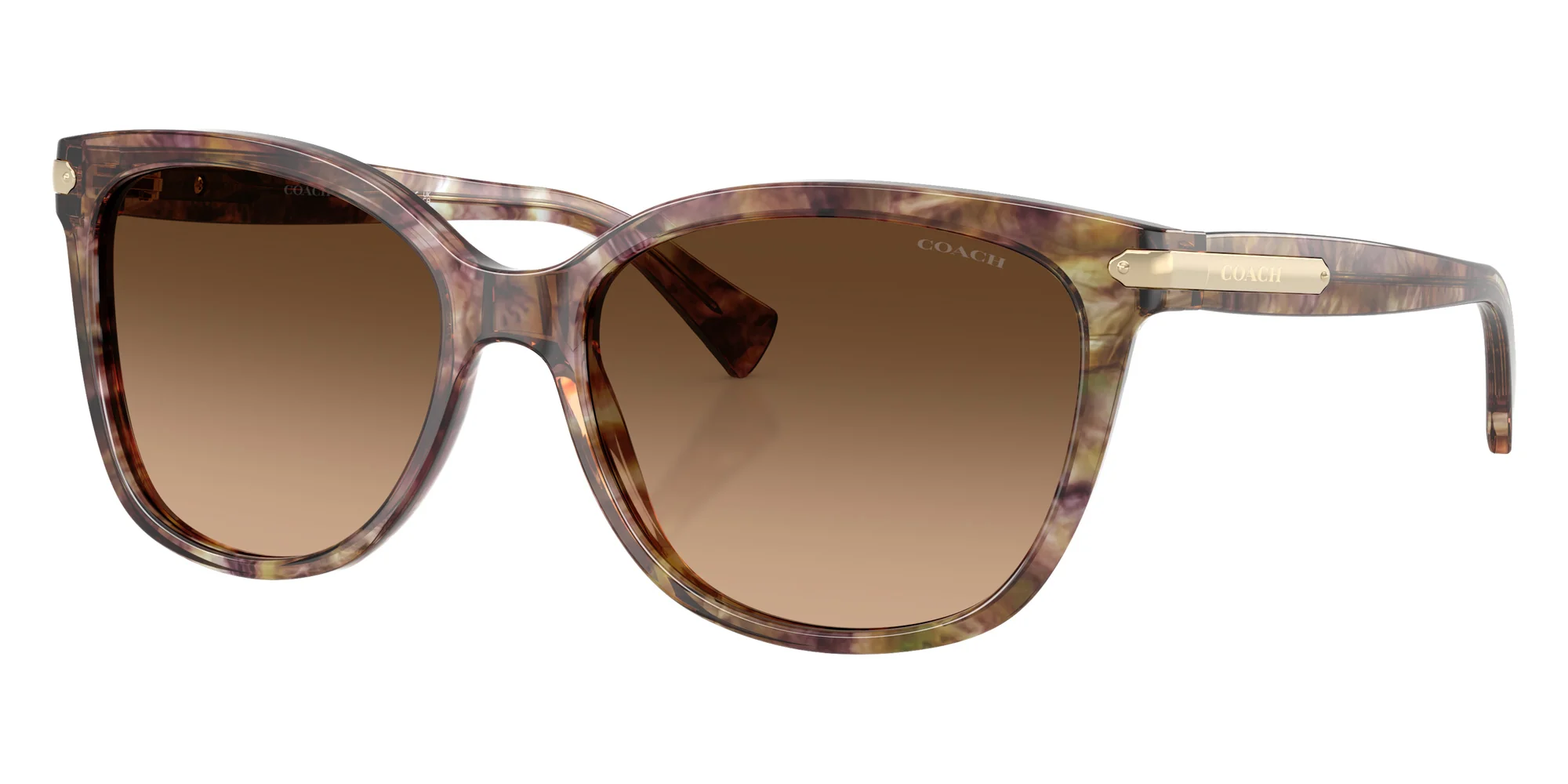 Coach - HC8132 L109 - Image 2