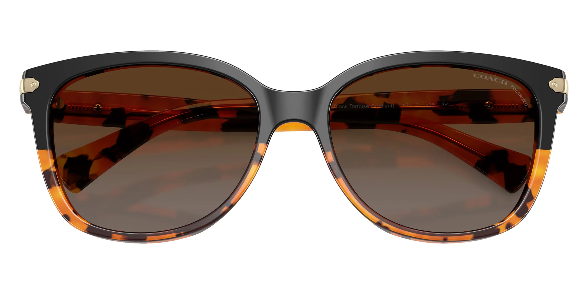 Coach - HC8132 L109 - Image 20