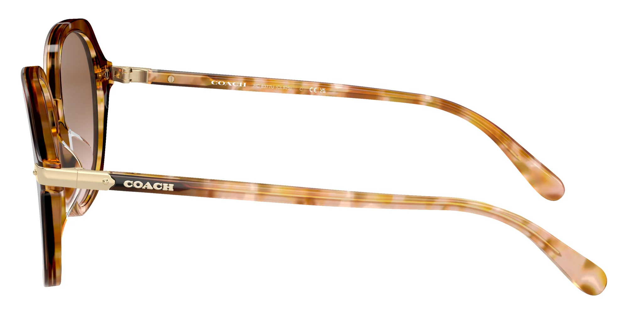 Coach - HC8377U CL925 - Image 18