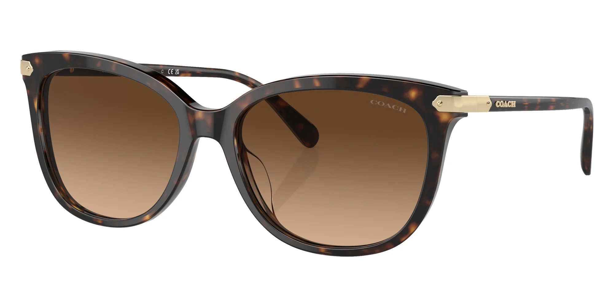 Coach - HC8378U CL926 - Image 7