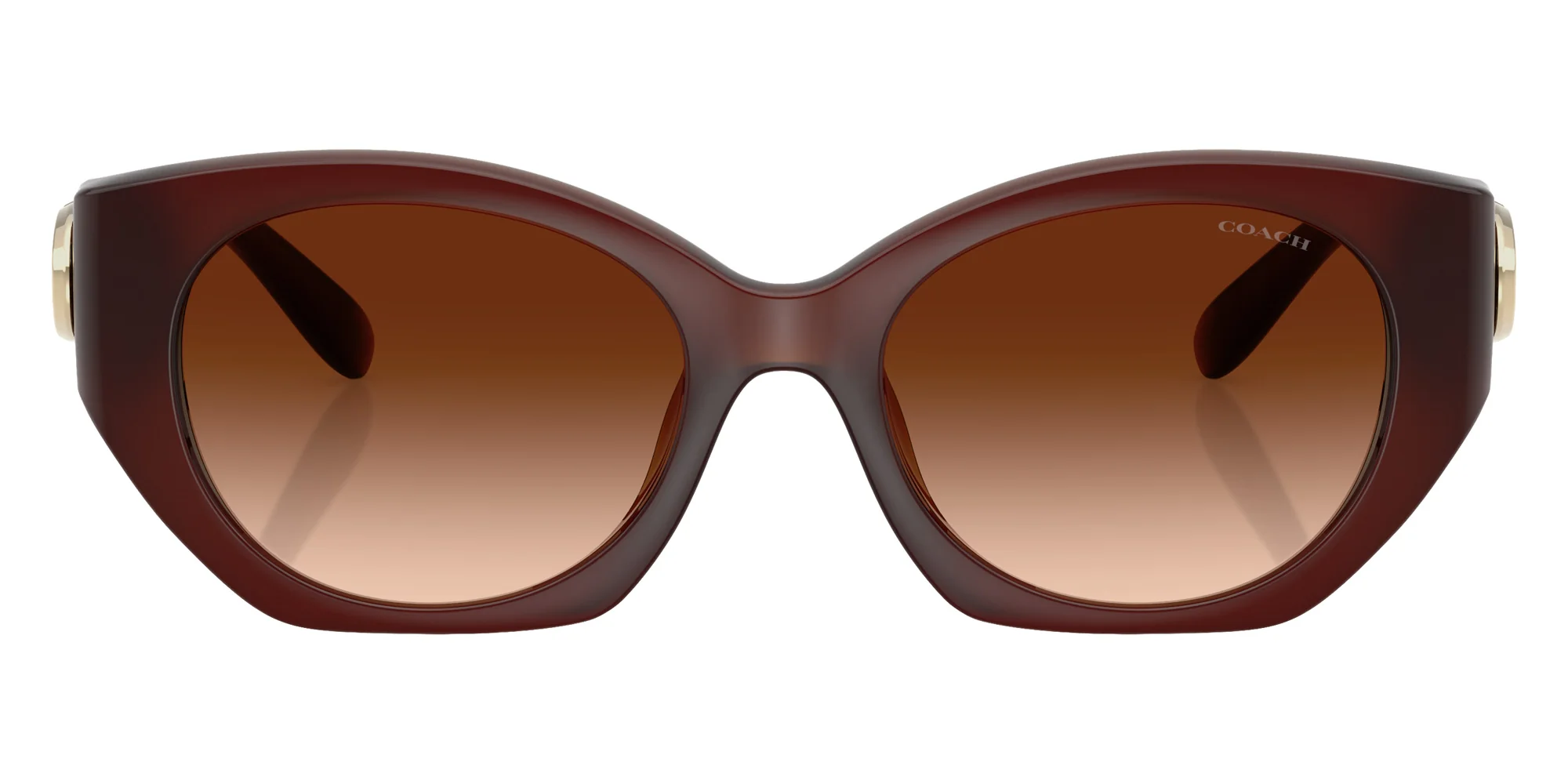 Coach - HC8407U CW194 - Image 21