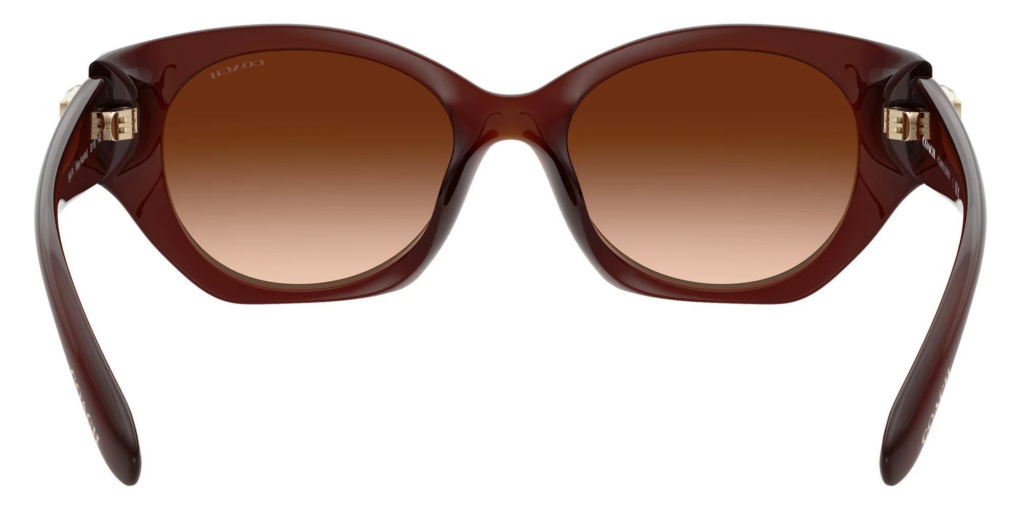 Coach - HC8407U CW194 - Image 24