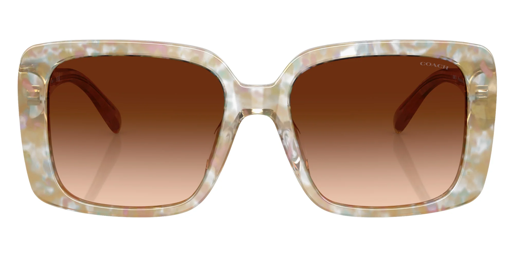 Coach - HC8424F CAD55 - Image 16