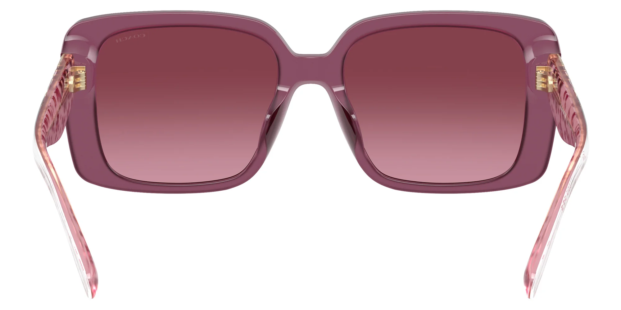 Coach - HC8424U CAD54 - Image 29