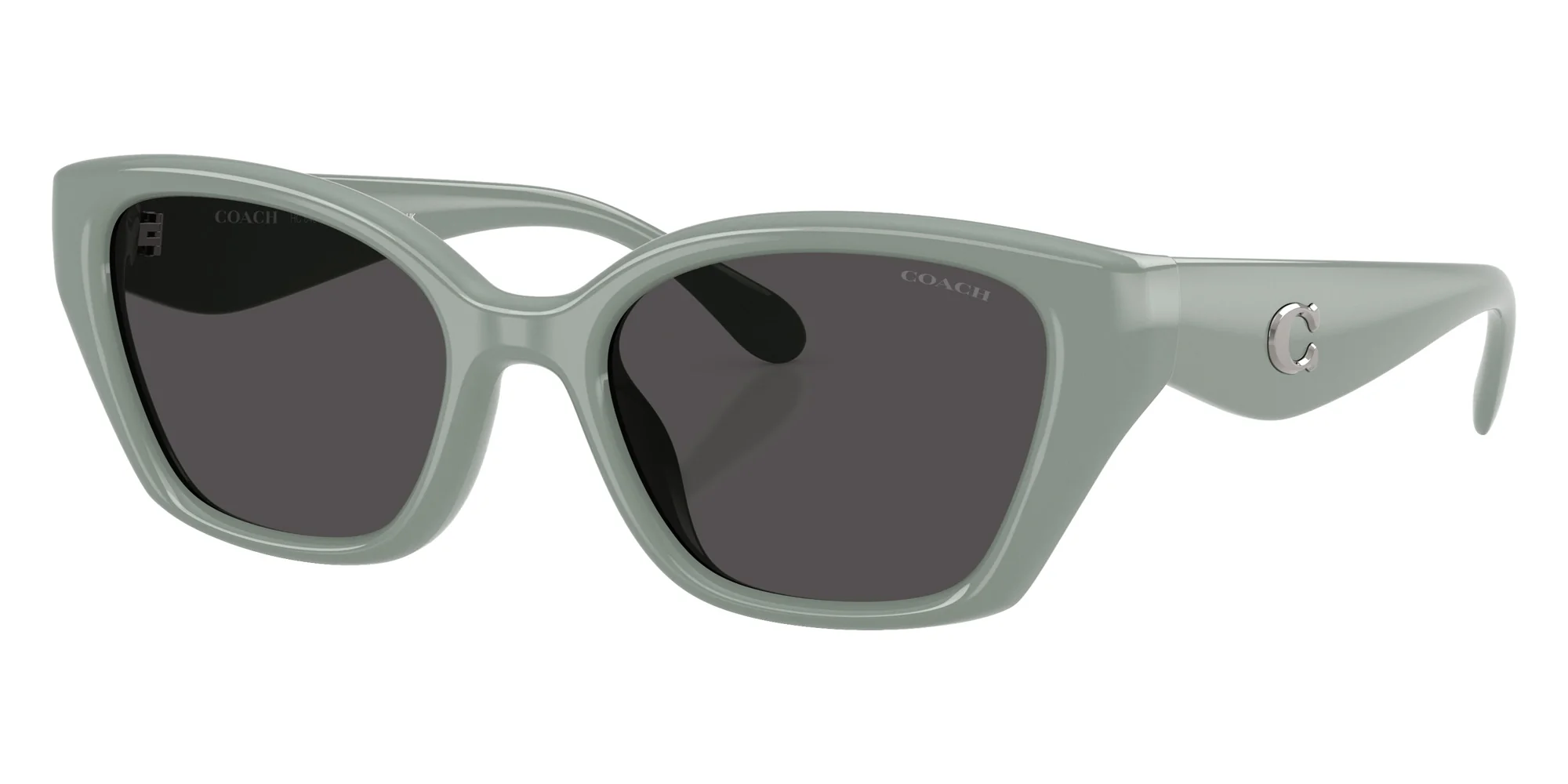 Coach - HC8434U CBY91 - Image 27