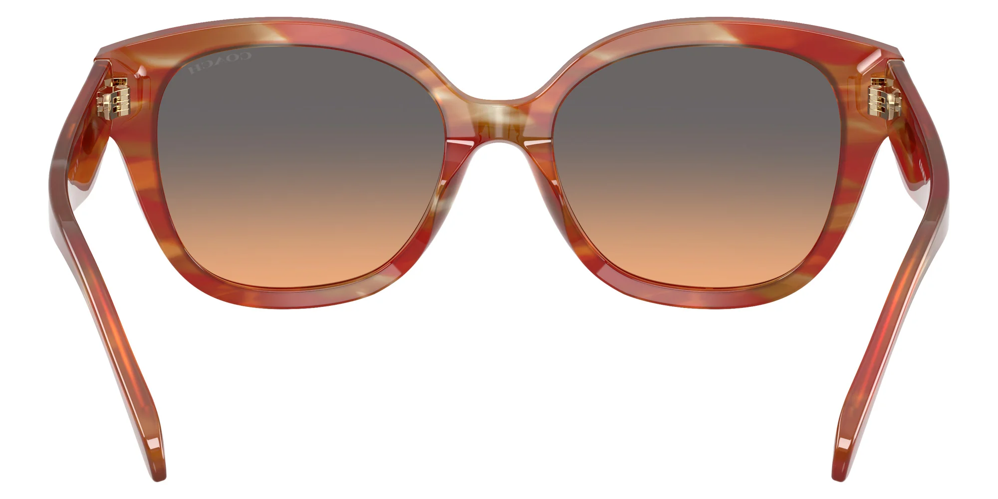 Coach - HC8438U CBY94 - Image 19