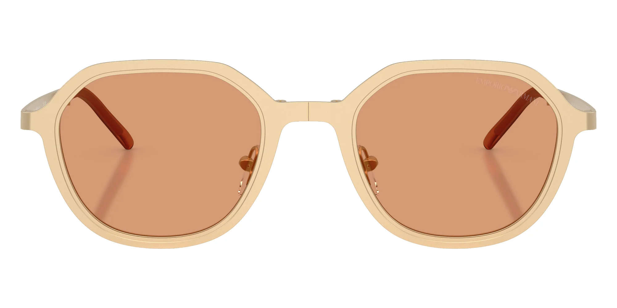EMPORIO ARMANI - EA2176