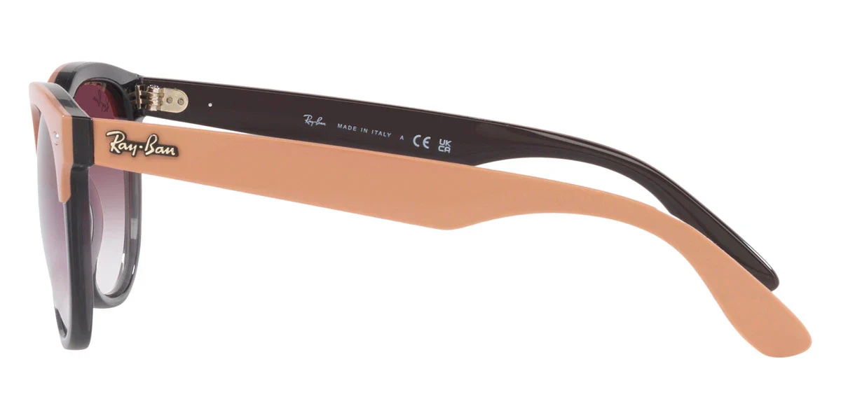 Ray-Ban - RB4471 Iris - Image 3