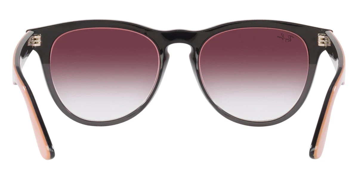 Ray-Ban - RB4471 Iris - Image 4