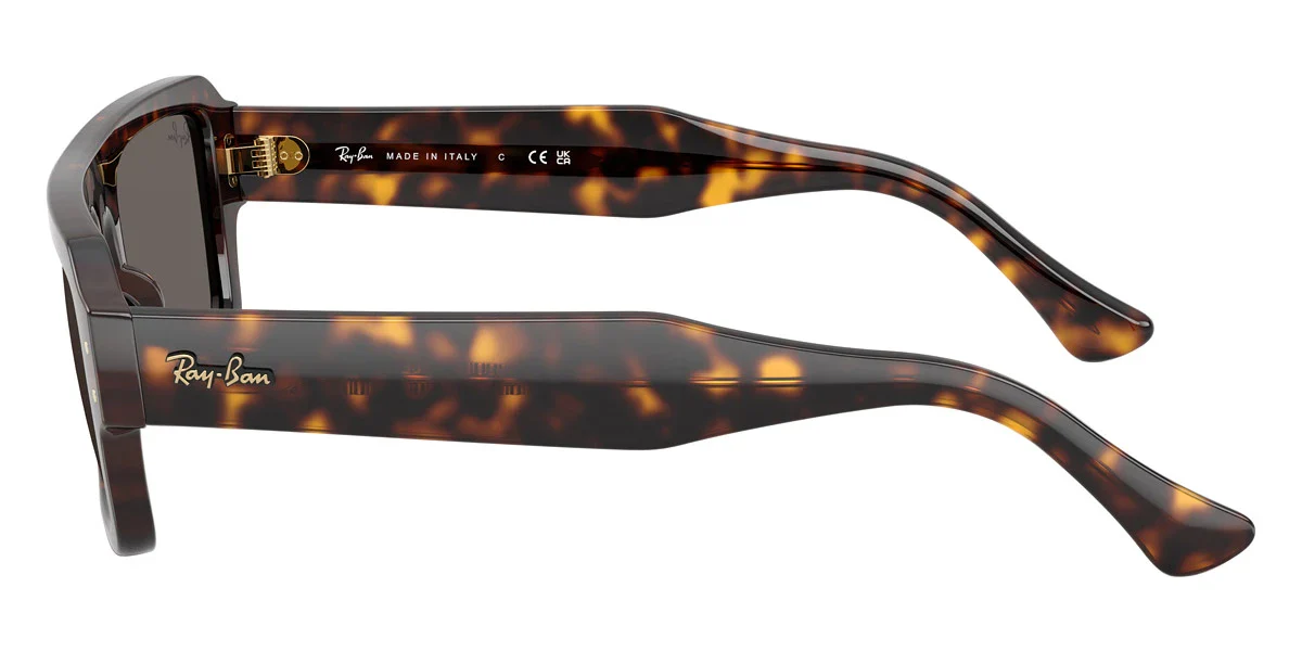 Ray-Ban - Lukas RB4454F - Image 3