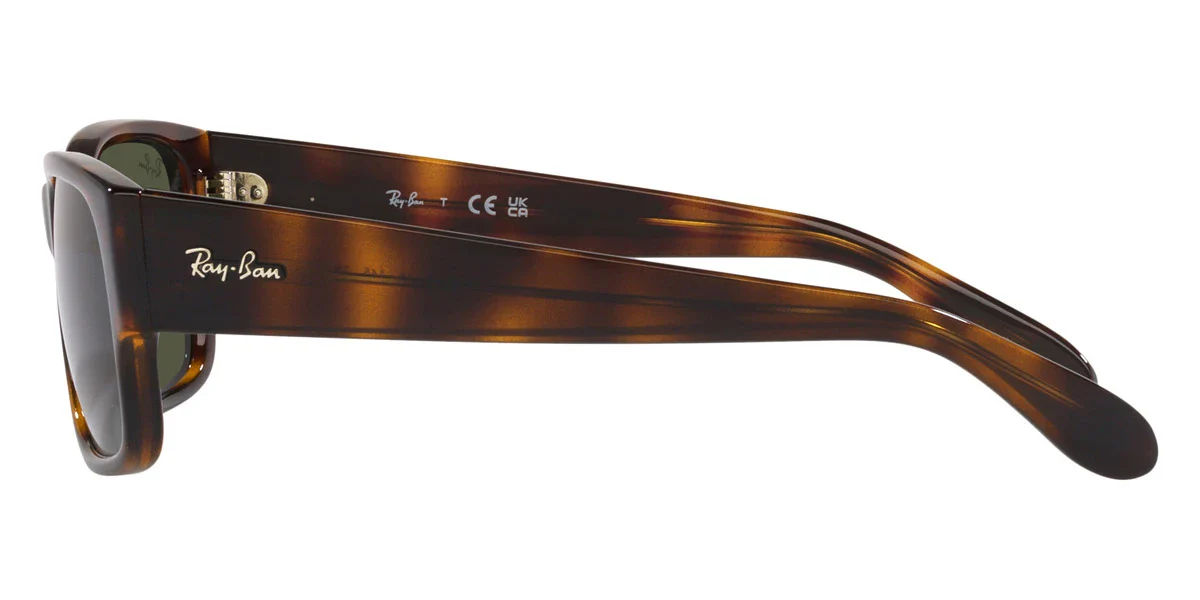 Ray-Ban - RB4388 - Image 3