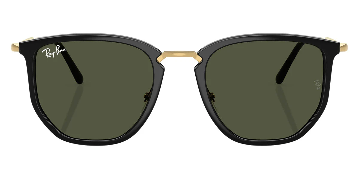 Ray-Ban - RB4451 - Image 7