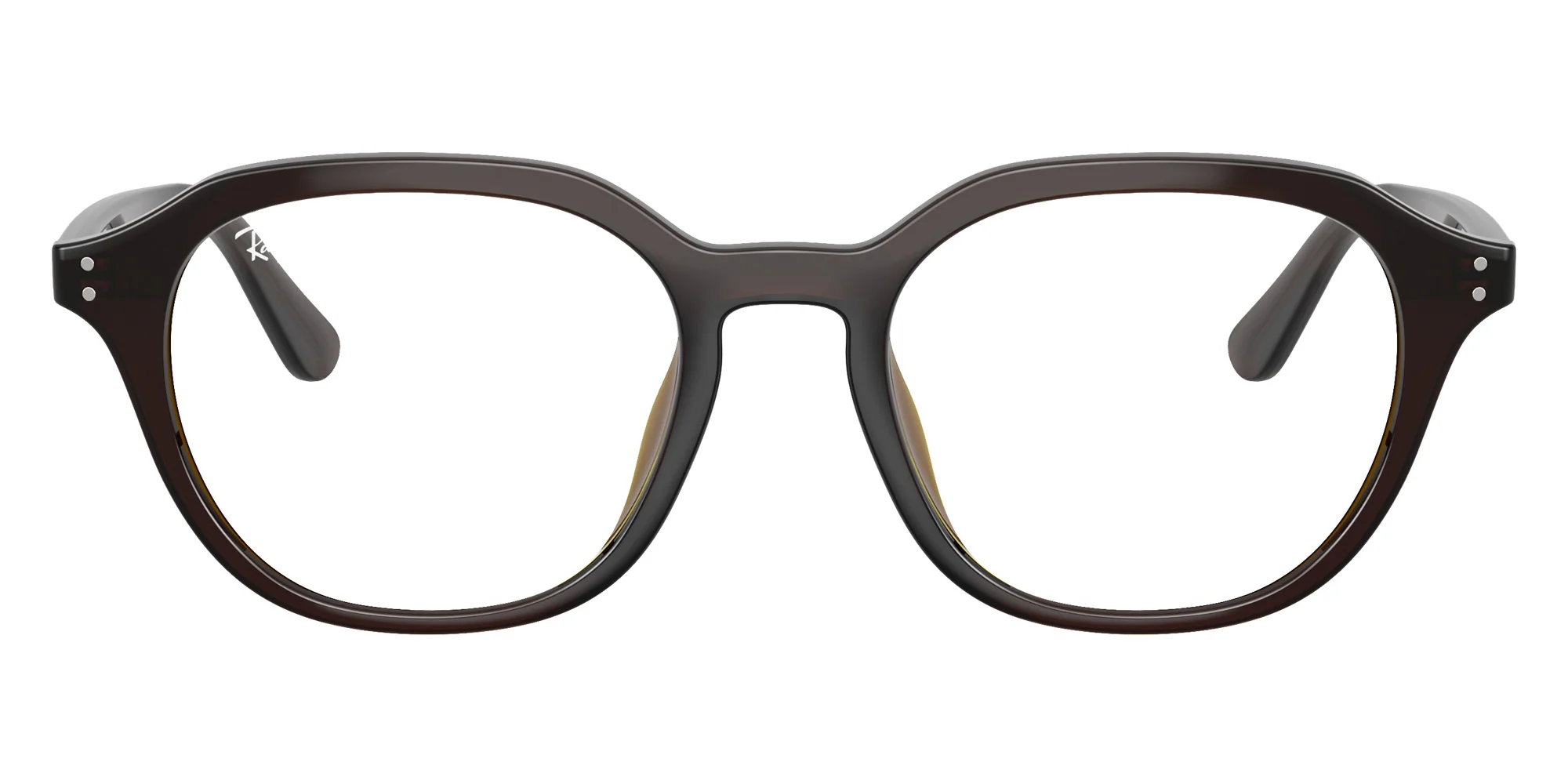 Ray-Ban - RB7259D Year Of The Horse Edition - Image 11