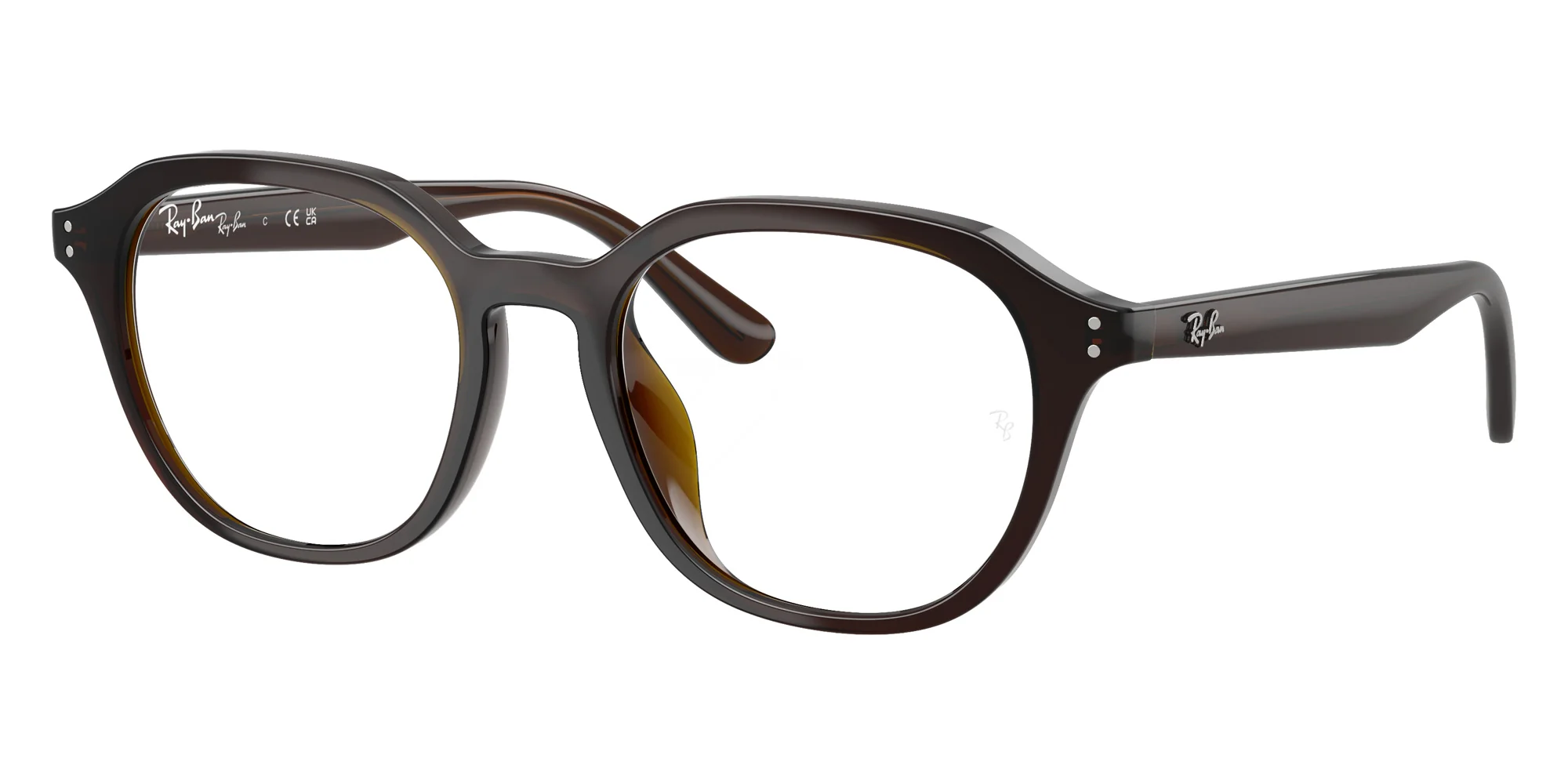 Ray-Ban - RB7259D Year Of The Horse Edition - Image 12