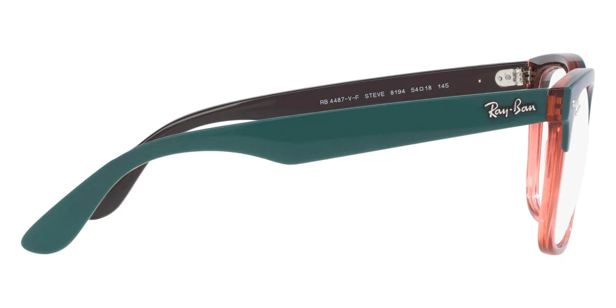 Ray-Ban - Steve RX4487VF - Image 5