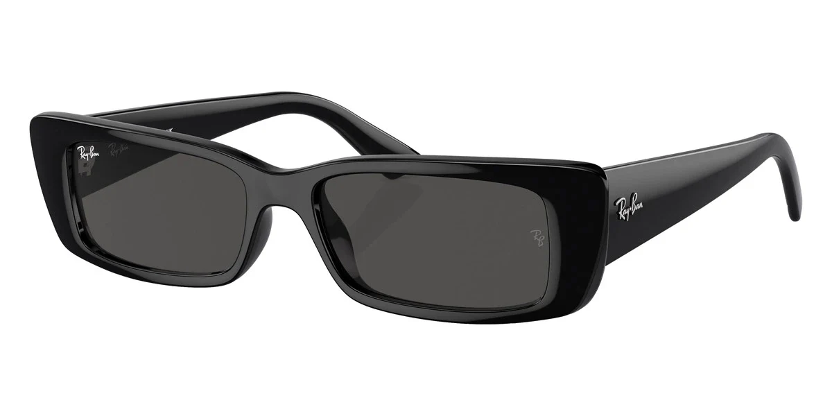 Ray-Ban - Teru RB4425 - Image 2