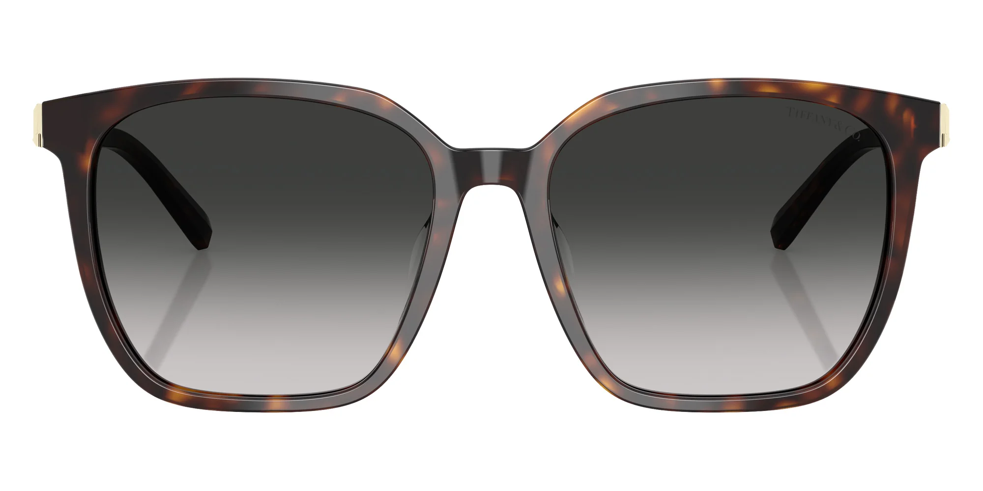 TIFFANY - TF4244D - Image 13